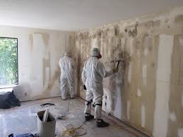 Best Industrial Mold Remediation in Singac, NJ